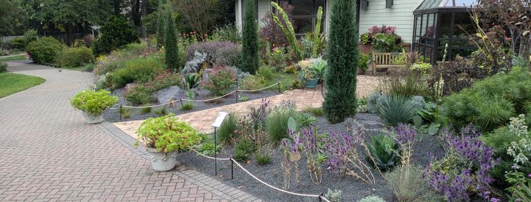 The new Gravel Garden at Green  Springs Gardens.