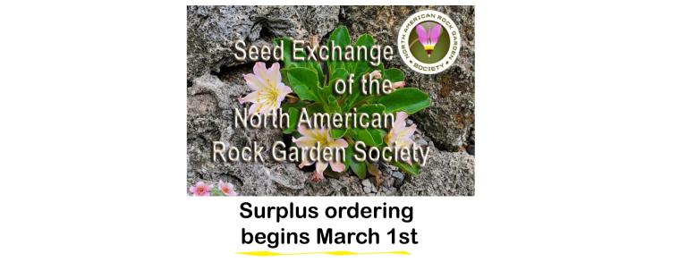 Surplus Round opens March 1