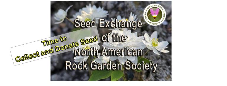 Collect Seed