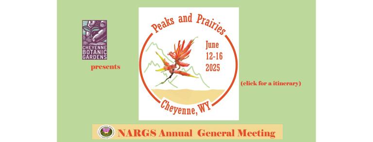 AGM25