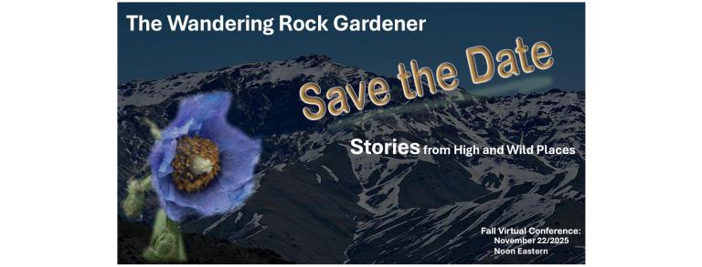 Wandering Rock Gardener
