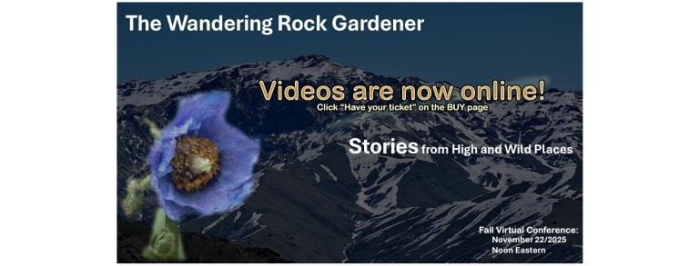 Wandering Rock Gardener