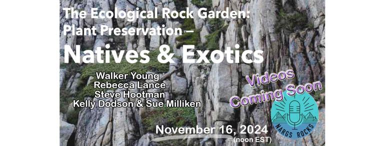 Ecological rock garden