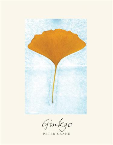 Ginkgo: The Tree That Time Forgot Ginkgo: The Tree That Time Forgot: cover