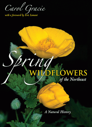 Spring Wildflowers of the Northeast: A Natural History Spring Wildflowers of the Northeast: book cover