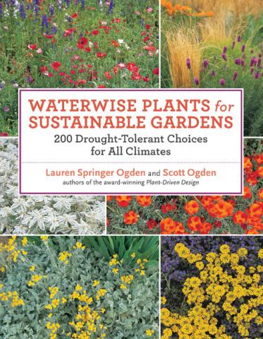 Waterwise Plants for Sustainable Gardens: 200 Drought-Tolerant Choices for All Climates Waterwise Plants for Sustainable Gardens: book cover