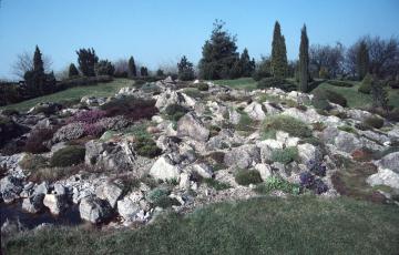 Mound Crevice Garden