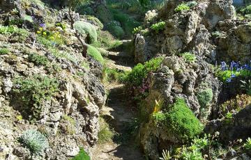 Cepicka Crevice Goat Path