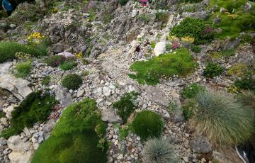 Cepika View Looking Across