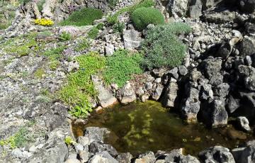 Cepicka Crevices with Water Feature