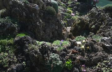 Cepicka Tufa Topography