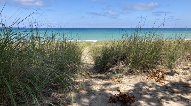 Lake Michigan seen from the dunes