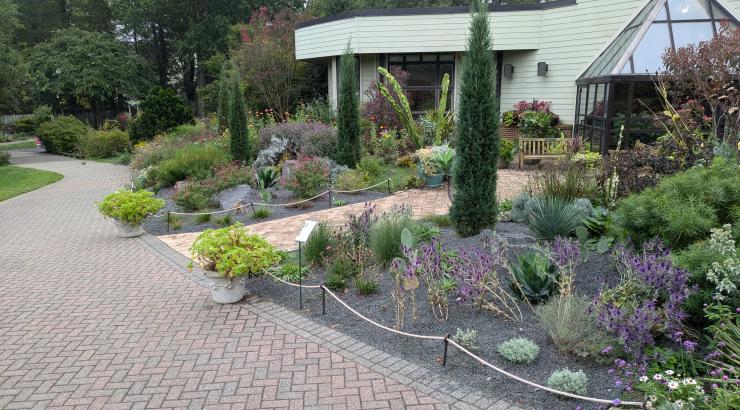 The new Gravel Garden at Green  Springs Gardens.